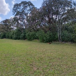 Macquarie Fields 2025