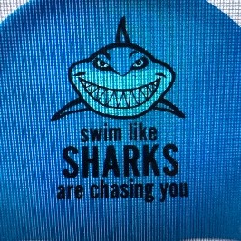Shellharbour Sharks