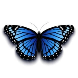 Butterfly Effect 2025